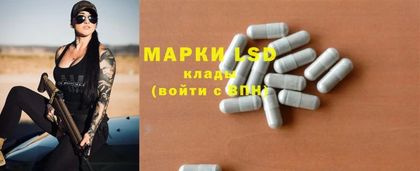 крисы Михайловск