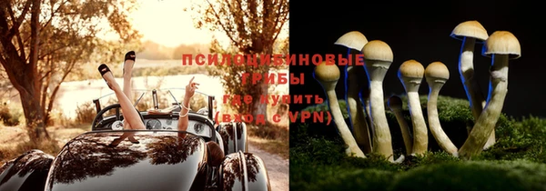 крисы Михайловск